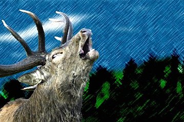 ***TESTBAND*** The Screaming Monkeys ***