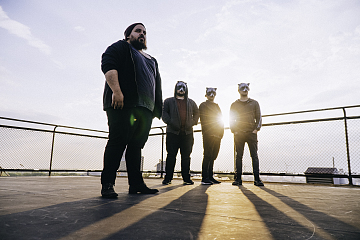 Pad und die Waschbärbande